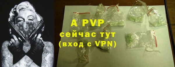 PSILOCYBIN Надым