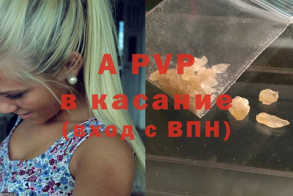 PSILOCYBIN Надым