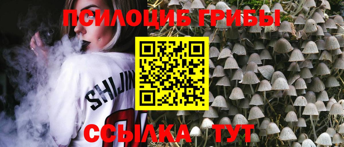 Галлюциногенные грибы Psilocybe  Вход с VPN  хочу наркоту  Шали  Галлюциногенные грибы мицелий 