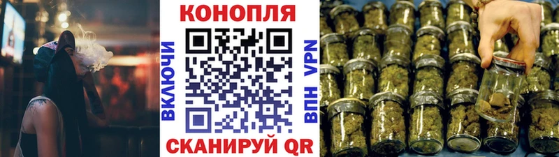 Бошки марихуана OG Kush  закладки  Шали 
